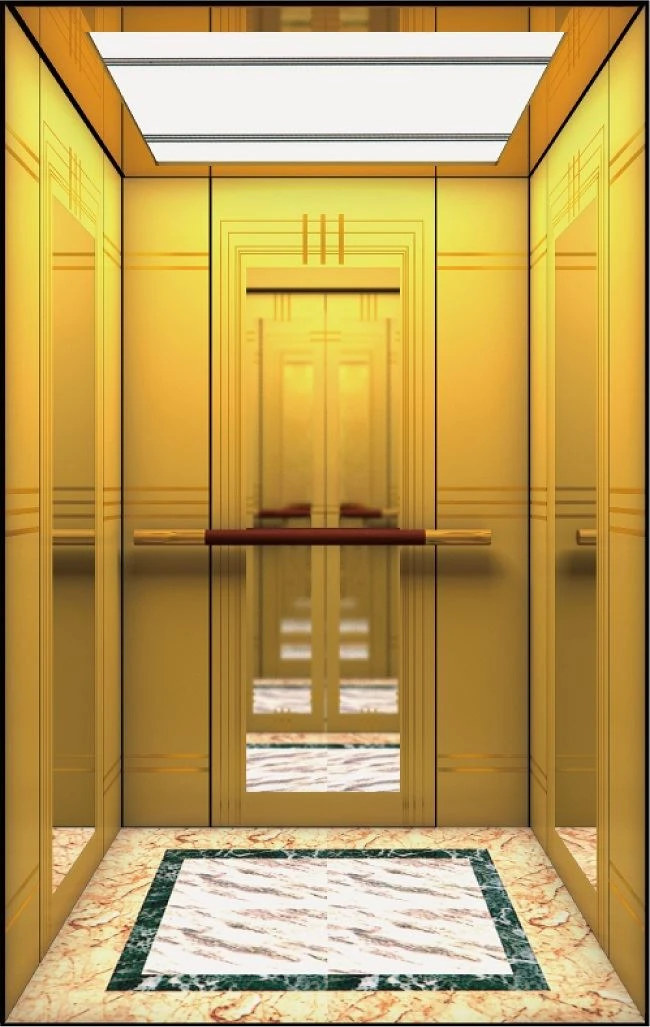 Villa Passenger Elevator Lift